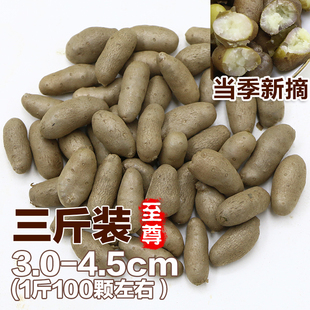 2025新鲜铁棍山药豆正宗铁杆淮山药小白嘴山药蛋山药种大号3斤装