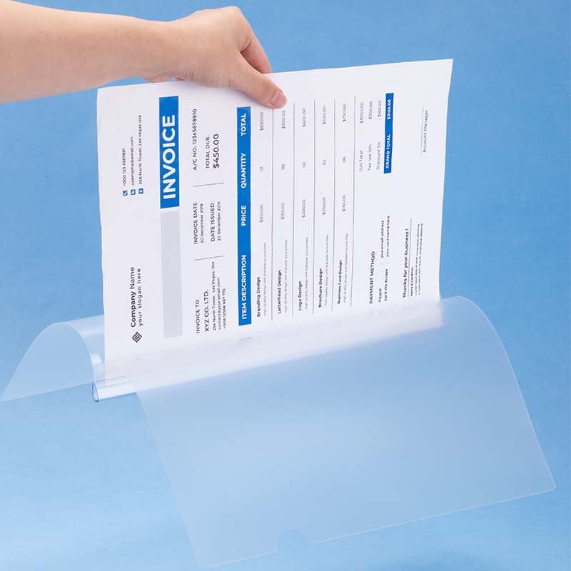 齐心 Q310 办公报告夹 抽杆式 A4 容纸量50张 透明 10个装