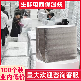 加厚立体保温袋铝箔大容量雪糕肉类泡沫箱打包冷藏袋定制