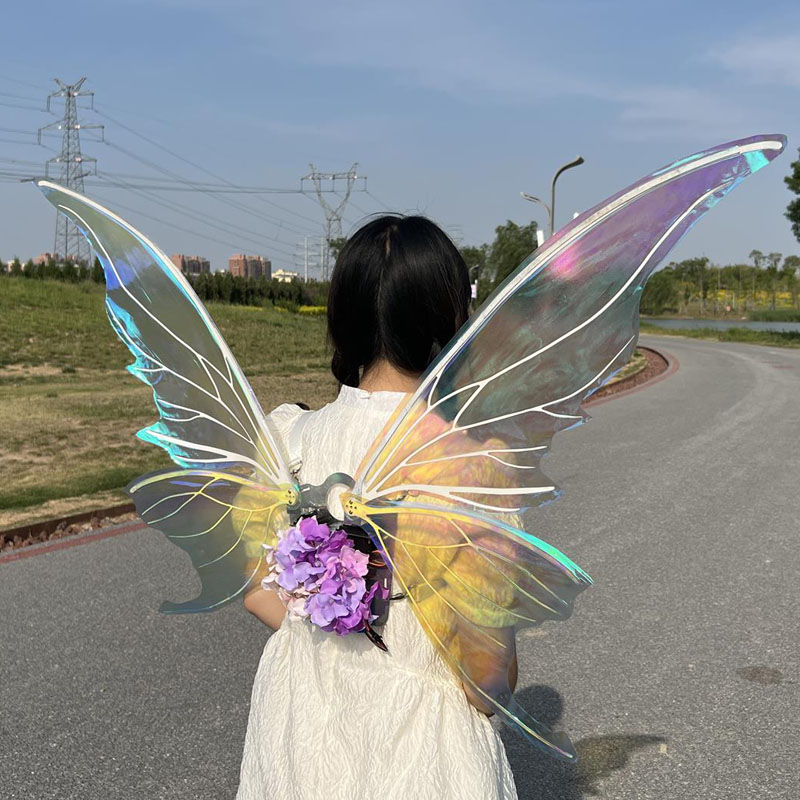 丽晨达羽翅膀工厂批发