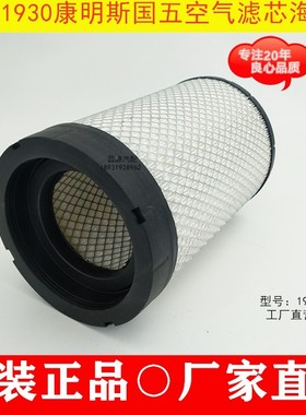 1930空滤适配福田奥铃CTS轻卡空气滤芯K193019欧马可S3空滤滤清器
