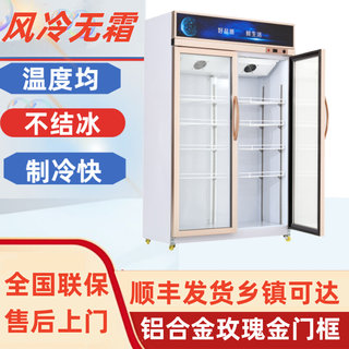 冷藏柜 展示柜 保鲜柜 立式双门铜管商用饮料冷饮蔬菜水果柜冰柜