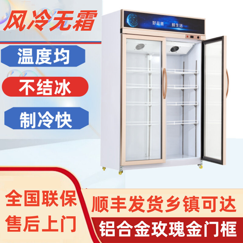 冷藏柜 展示柜 保鲜柜 立式双门铜管商用饮料冷饮蔬菜水果柜冰柜