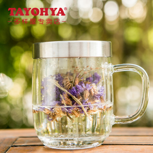 tayohya正品明雅玻璃耐热办公杯