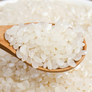 吉林粳米小盯米 珍珠香大米圆粒大米 新大米5斤 东北大米