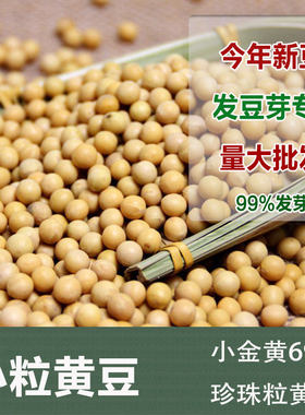 新小粒黄豆1斤发芽专用老品种