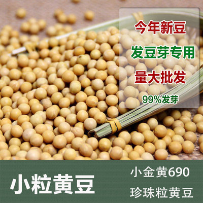 新小粒黄豆1斤发芽专用老品种