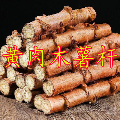 广西黄心木薯苗种苗正宗新鲜9号黄肉木薯白心木薯苗食用