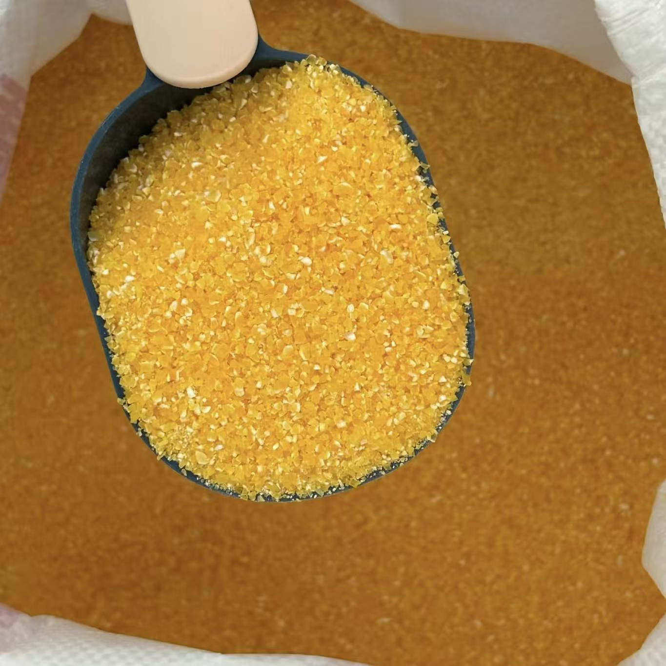 伏牛山高海拔新玉米碴子玉米碎苞米碴玉米糁