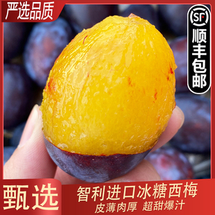现货智利进口西梅新鲜智利李子澳大利亚超甜当季孕妇水果宝宝辅食