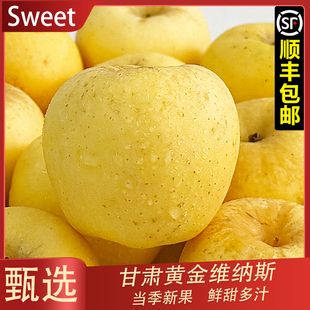 【顺丰】甘肃平凉黄金维纳斯苹果 当季灵台黄金苹果脆甜多汁