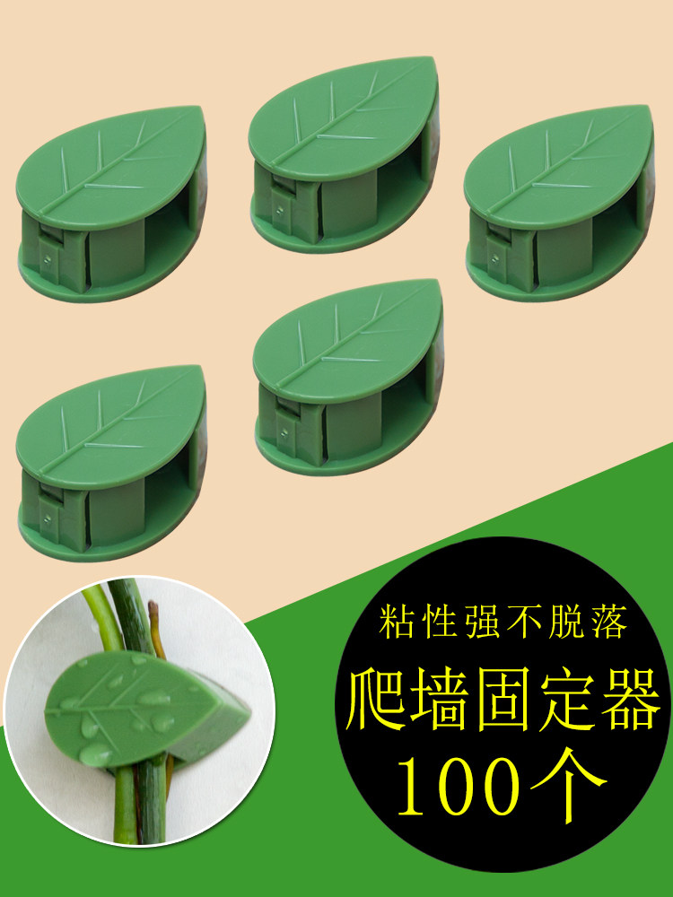 绿萝夹子爬藤植物藤蔓固定夹花卉上墙面吸盘神器绿植牵引爬墙卡扣