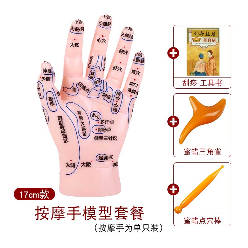 大号手部模型高清大手反射区模型手掌手背推拿针炙点穴位图手足耳