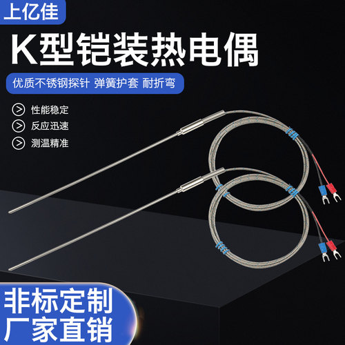 K型铠装热电偶WRNK-191探针温度传感器PT100/E/J热电阻探头高精度