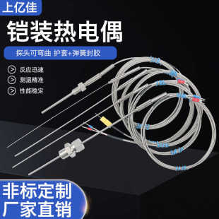 K型铠装热电偶WRNK-191电热偶针可弯曲Pt100/E/J/T温度传感器探头
