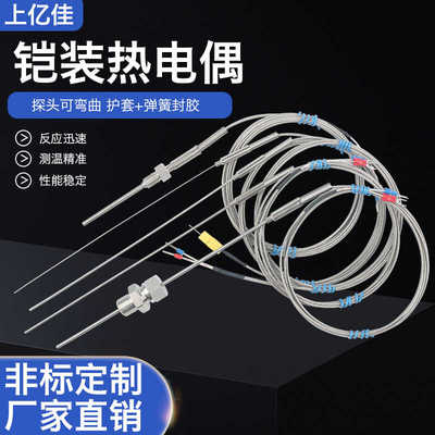 K型铠装热电偶WRNK-191电热偶针可弯曲Pt100/E/J/T温度传感器探头