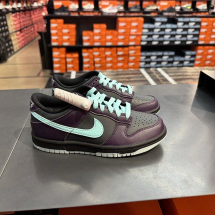 犇犇运动Nike/Dunk GS 女子舒适耐磨低帮休闲板鞋FB9109-301-013