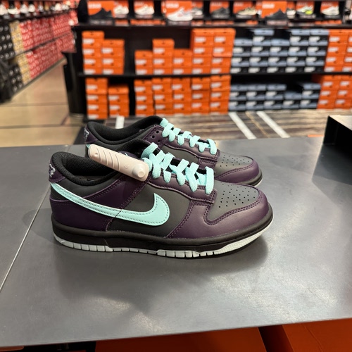 犇犇运动Nike/Dunk GS 女子舒适耐磨低帮休闲板鞋FB9109-301-013