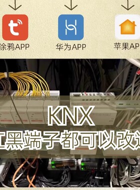 knx接入米家苹果homekit ha盒子homeassistion轨道式ip网关4核