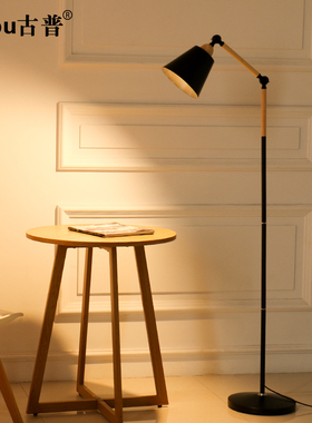 落地灯阅读现代简约LED护眼钓鱼灯创意北欧客厅卧室书房立式台灯