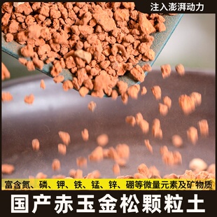 本土用茨城金松土金松土硬质赤玉土多肉土原装专用优质营养土通土