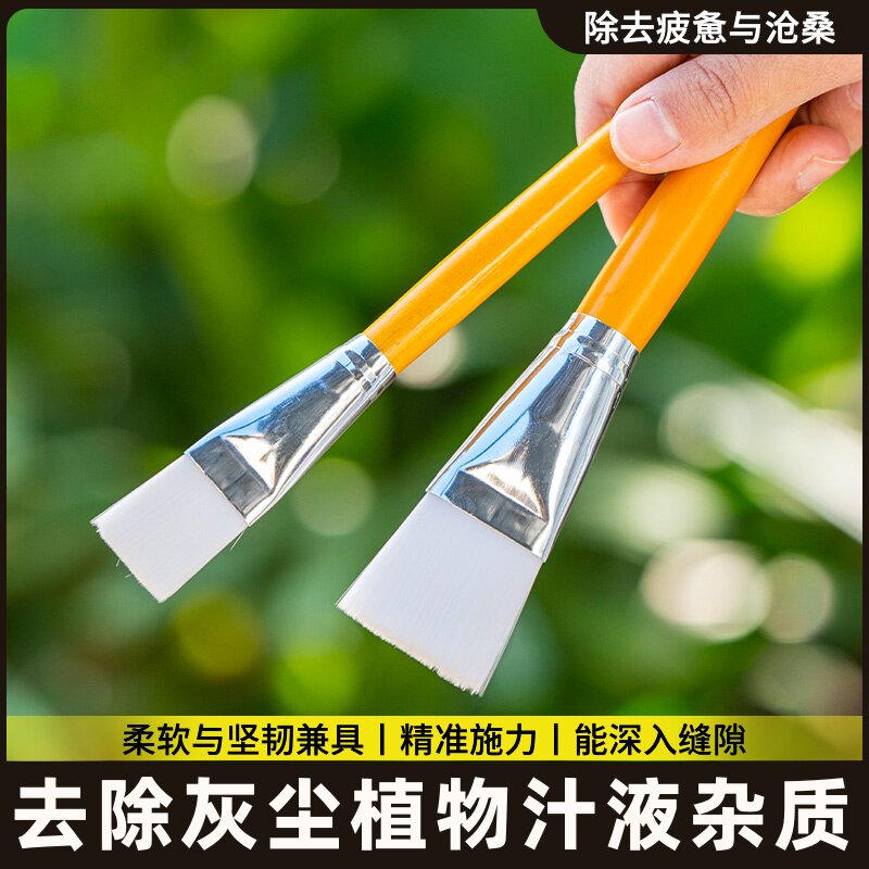 微景观专用工具塑料毛刷植物叶片除尘清洁工具园艺盆栽花卉刷套装