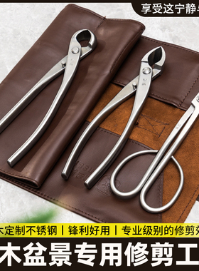 盆景造型球节钳修枝剪工具三件套又枝剪芽钳斜口剪破杆钳刀入门
