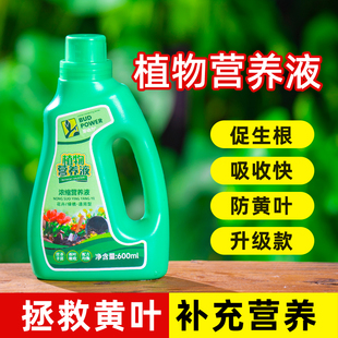 龙血树龙须树专用肥料营养液盆栽植物室内绿植养花肥通用氮磷钾肥