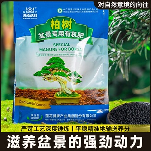 金弹子生根营养液盆景专用老鸦柿盆栽通用颗粒缓释有机肥料缓释安