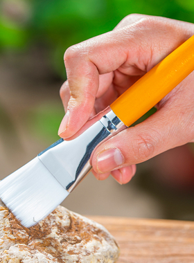 人工授粉笔草莓多肉西红柿无花果树授粉工具花粉点花授粉刷材料配