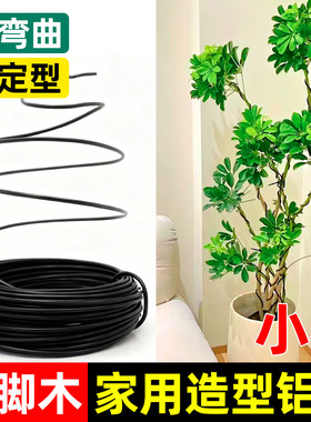 盆景专用金枝玉叶造型铝丝橡皮树鸭脚木造型铁丝支架小叶簕竹铝线