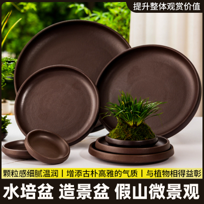 巴西木菖蒲苔藓球植物米竹六月雪瓷石头水培盆景盆客厅桌面盆栽盆