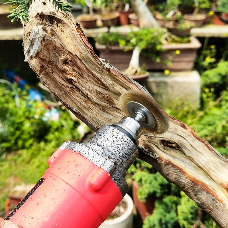 盆景舍利制作打磨头钢丝刷头树皮电动工具水线制作雕刻头盆景老桩