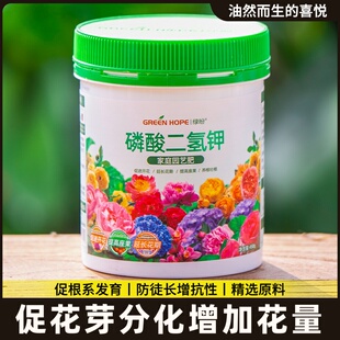 栀子花专用肥料盆栽黄叶硫酸亚铁养料磷酸二氢钾酸性营养液调节土