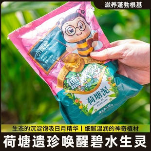 荷塘泥铜钱草碗莲专用泥荷花睡莲泥土块塘泥块淤泥河泥营养泥土精