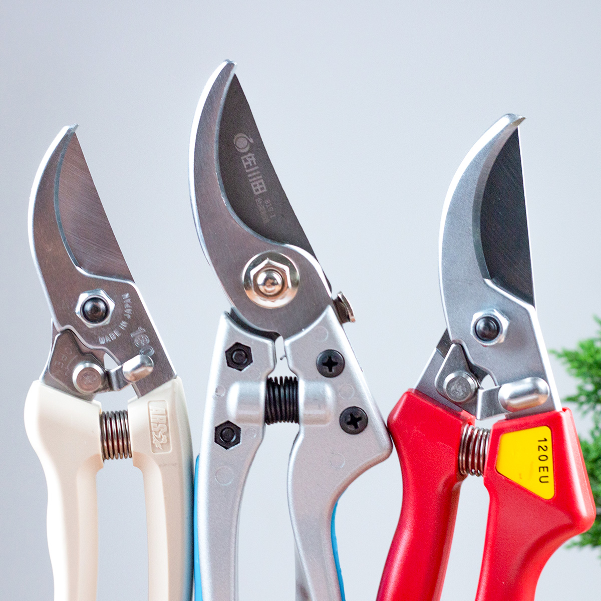 进口园艺剪刀盆景果树粗枝花