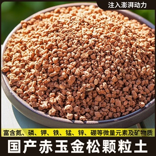 国产金松土赤玉土多肉颗粒土茨城金松土过筛无粉末专用优质营养土