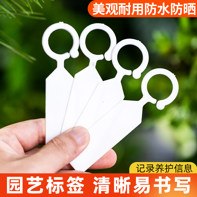 宏荣加厚植物标签园艺标签T型花卉标签标识牌多肉防水标签插地牌