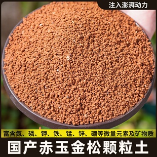 真空分装颗粒赤玉土金松土正品多肉盆景铺面专用爬宠营养土通用土