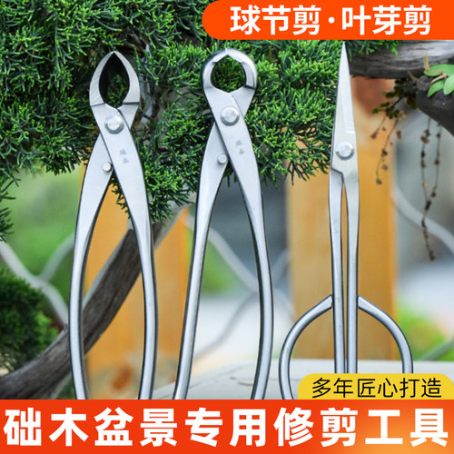 修枝剪球节剪盆景工具叶芽剪叉枝剪树瘤树节球形钳盆景造型工具剪