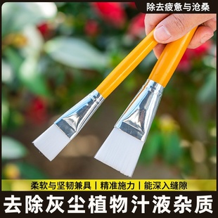 陶艺毛笔套装釉上下彩绘勾线笔填色笔补水笔鸡头料笔陶艺绘画工具