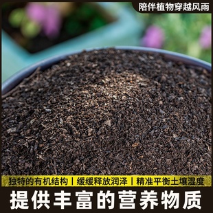 真正东北橡树叶营养土松叶腐殖土腐叶兰花君子兰专用橡叶种植酸性