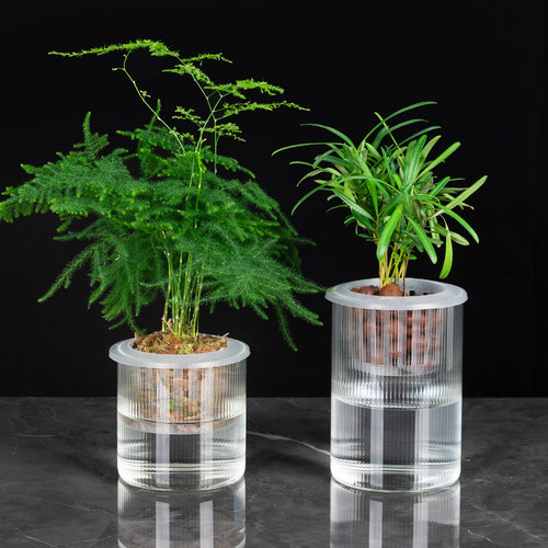 水培植物玻璃花盆绿萝水养器皿