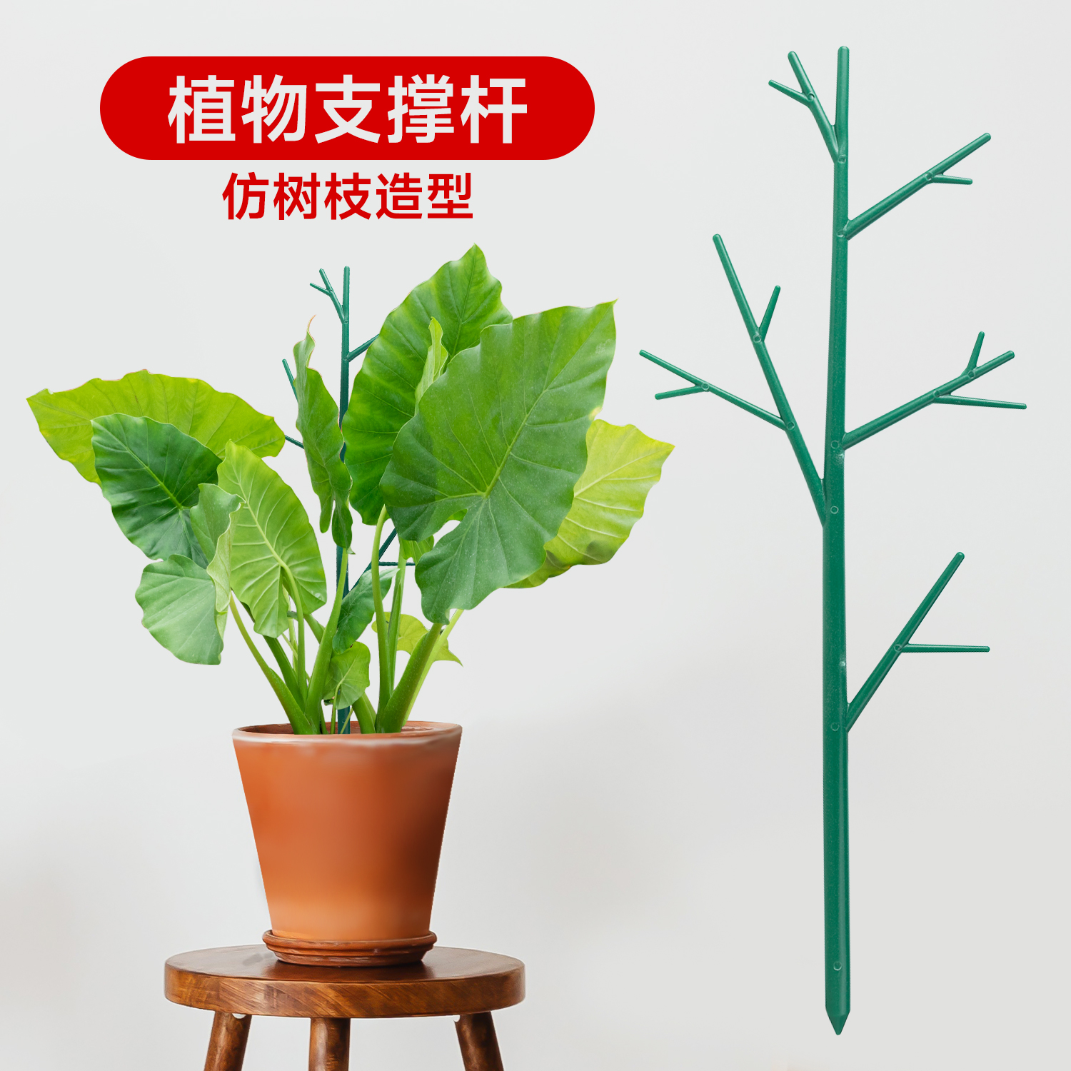 植物花卉绿植支撑杆花架