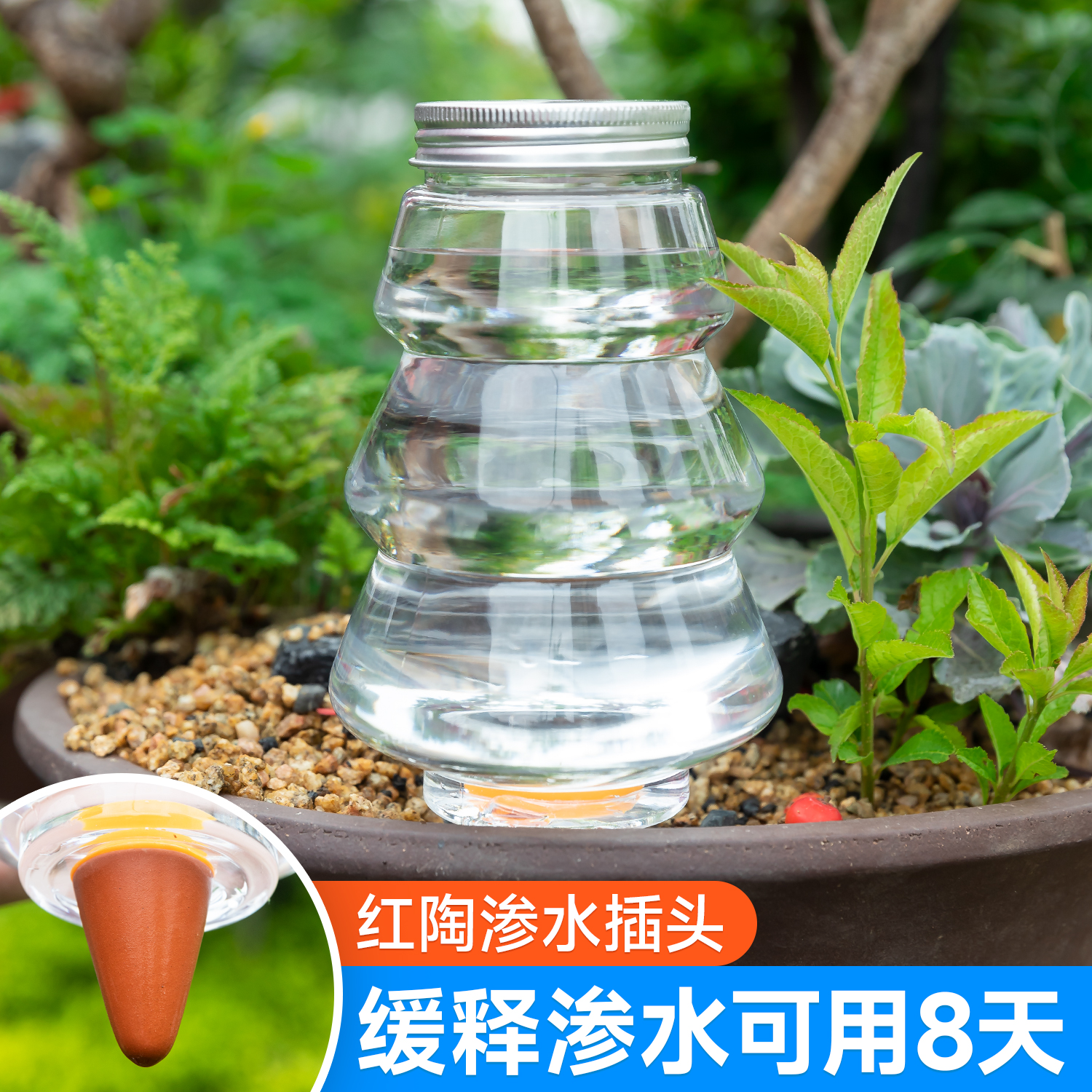 懒人必备家用出差滴灌器