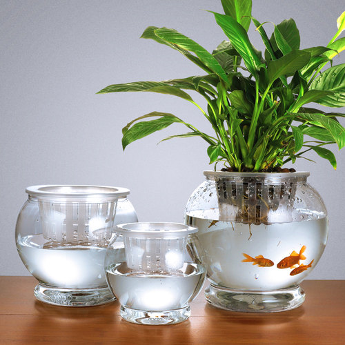 简约塑料塑料懒人花盆