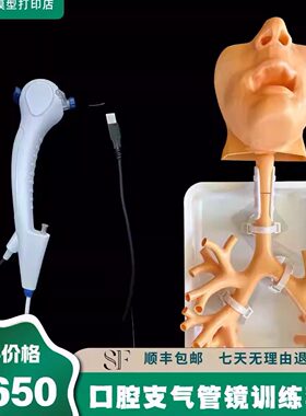 支气管镜训练模型纤支镜训练模型