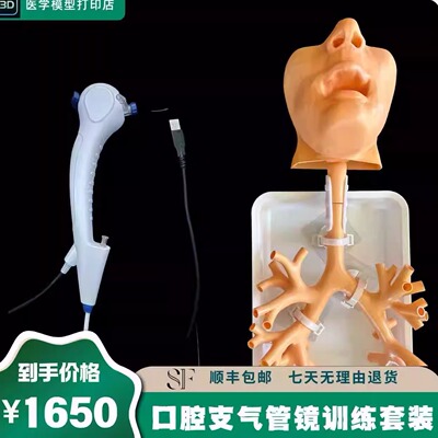 支气管镜训练模型纤支镜训练模型