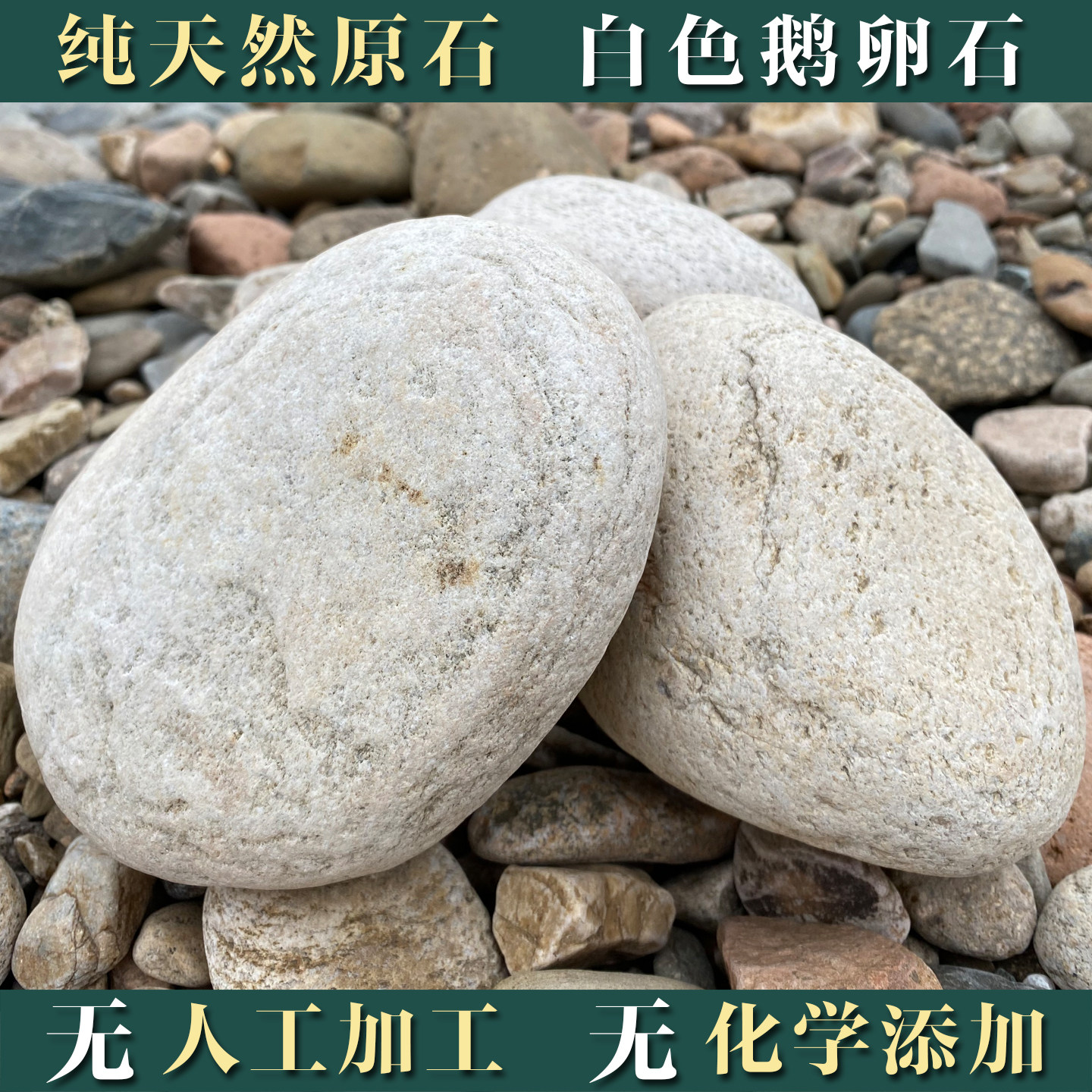 天然鹅卵石风水原石造景压菜白色花盆乌龟摆件鱼缸大石头河卵石春