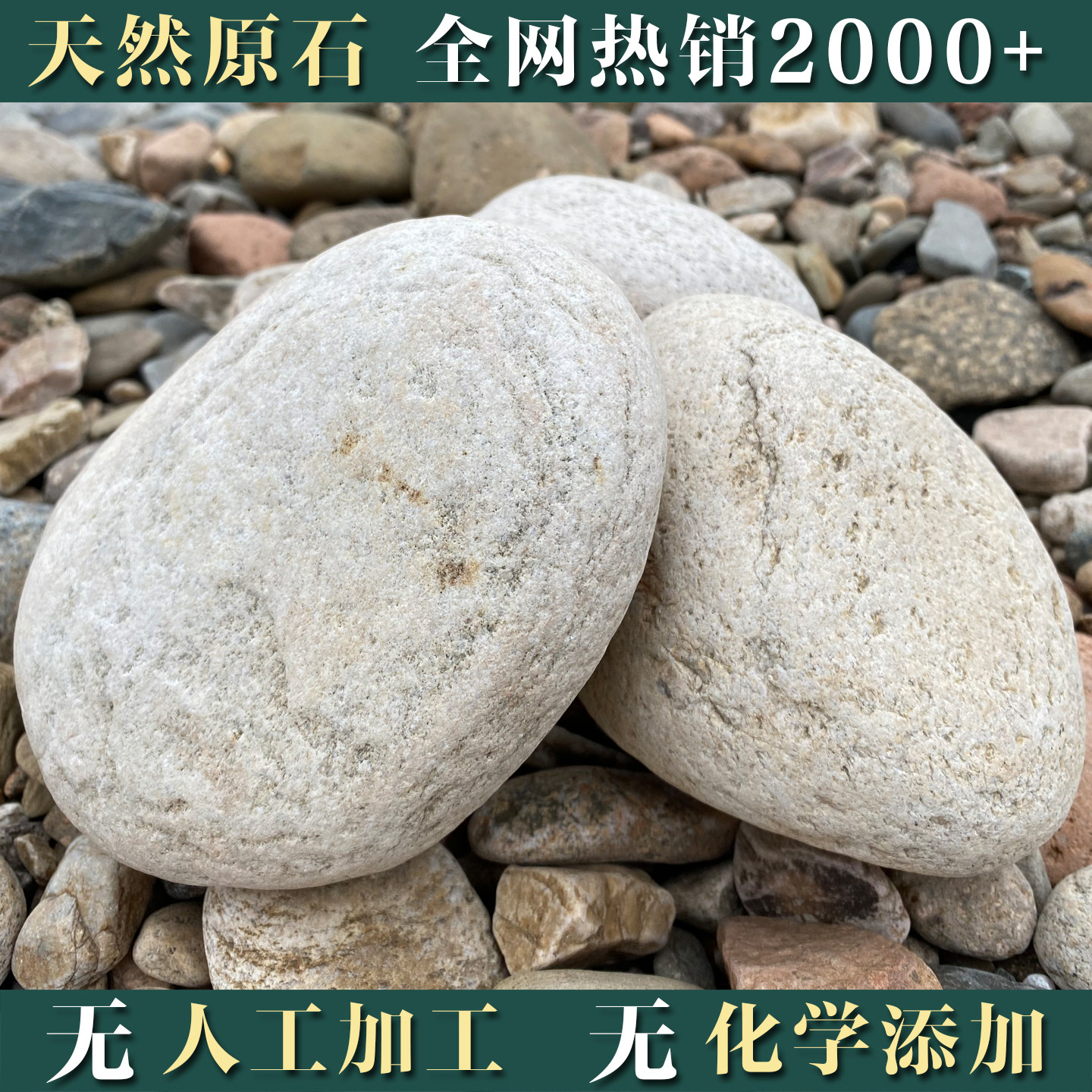 天然鹅卵石风水原石造景压菜白色花盆乌龟摆件鱼缸大石头河卵石春